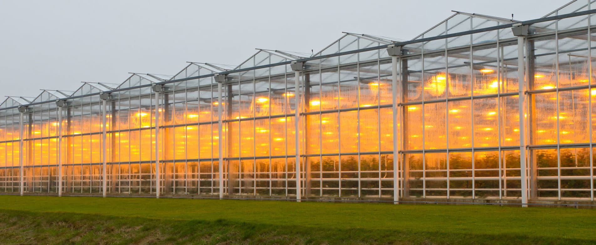 LED Planting Light for vertical Agriculture